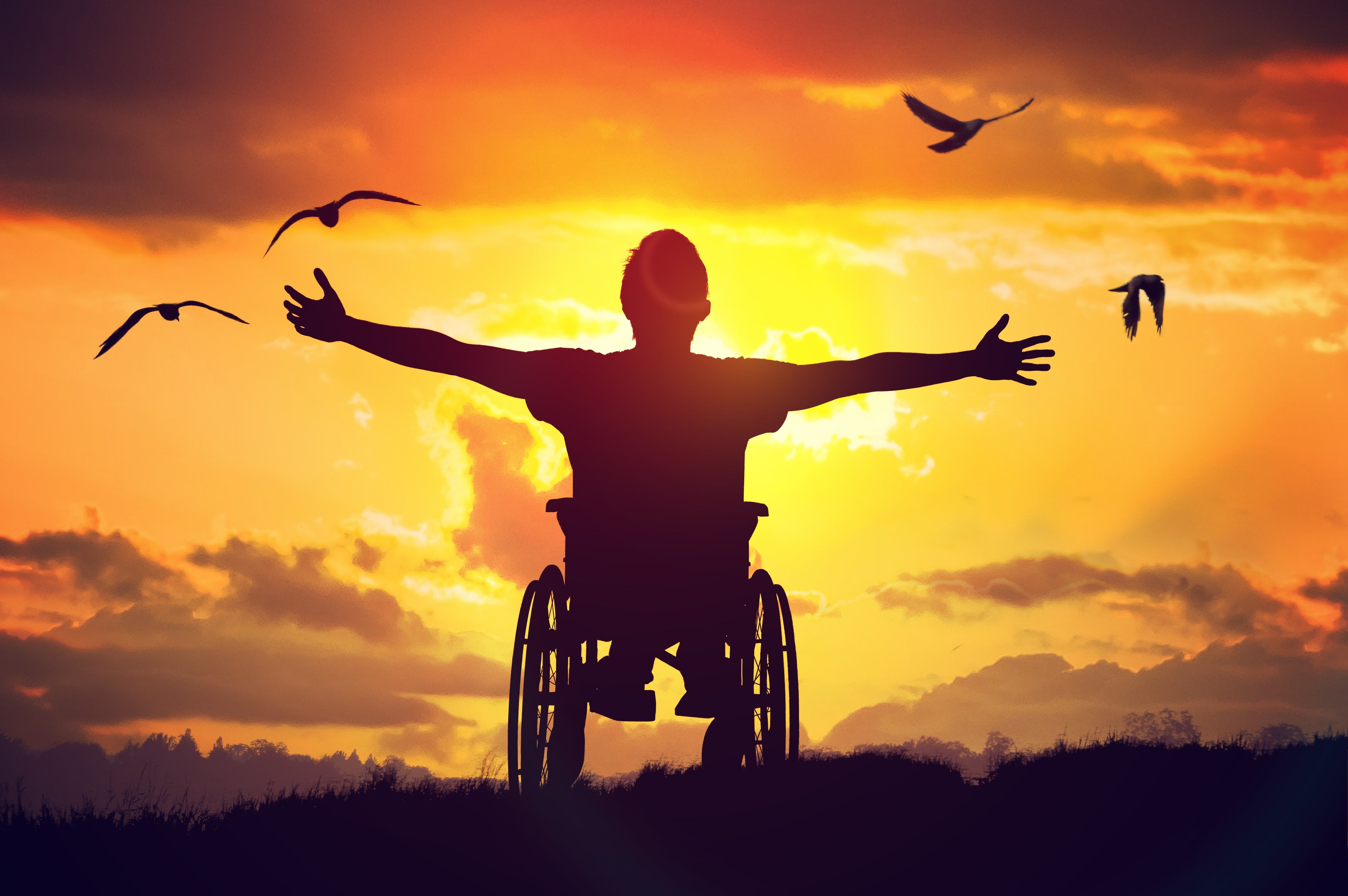 silhouette of a man in wheelchair facing the sunset with birds flying in the background.